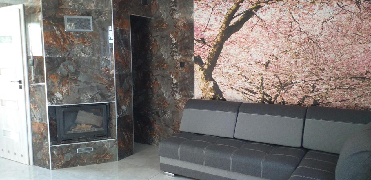 Tajger Apartamenty Polanczyk Luaran gambar