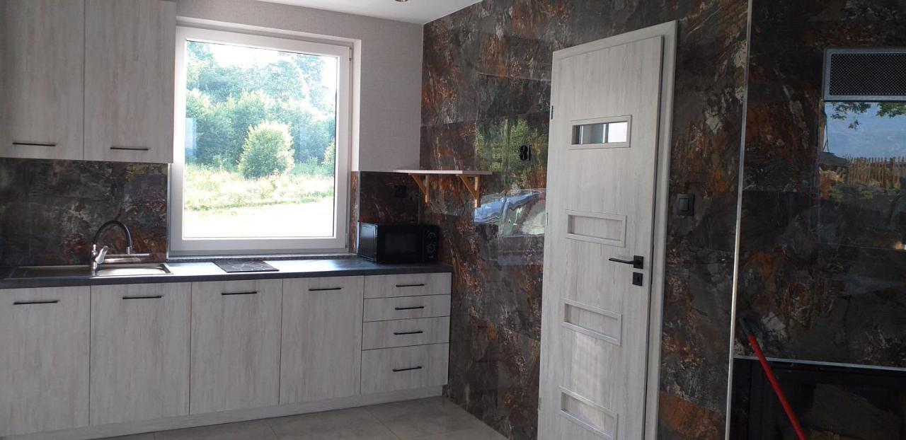 Tajger Apartamenty Polanczyk Luaran gambar